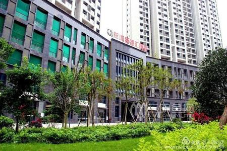 ���Ź��ʹ���-׷�󿵽�,����һ��չ