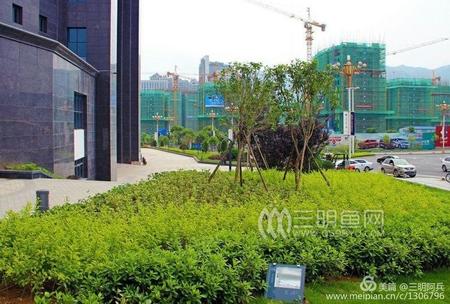 ���Ź��ʹ���-׷�󿵽�,����һ��չ