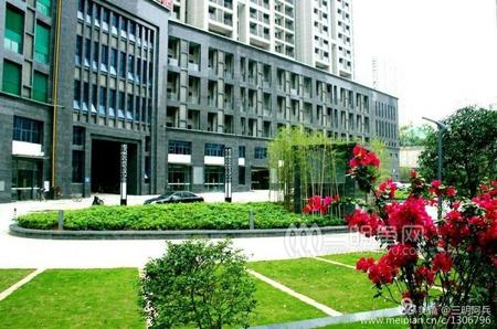 ���Ź��ʹ���-׷�󿵽�,����һ��չ